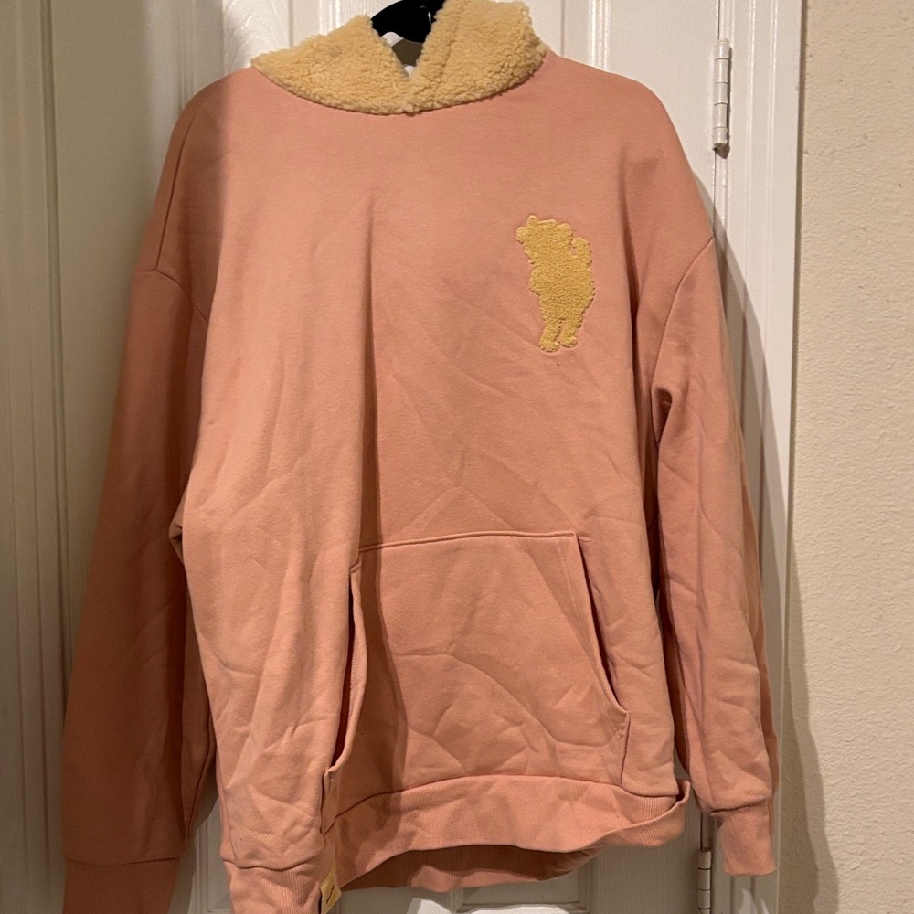 Winnie the Pooh Character Hoodie